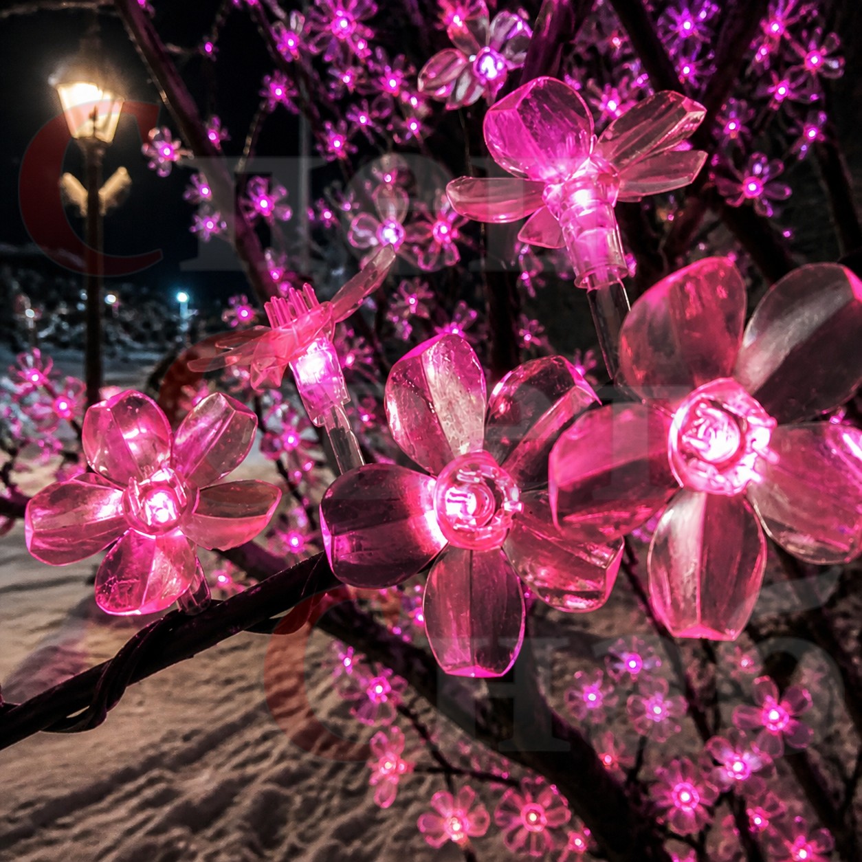 розовая сакура